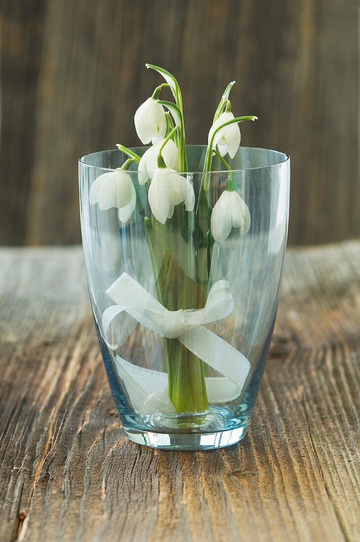 Snowdrops with bow in glass
