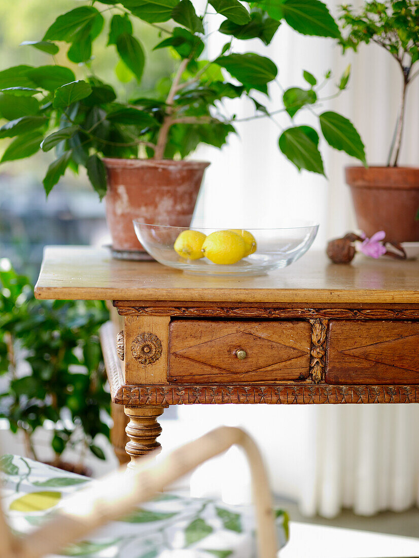 Antiker Holztisch mit Zitronen und Topfpflanzen im Hintergrund