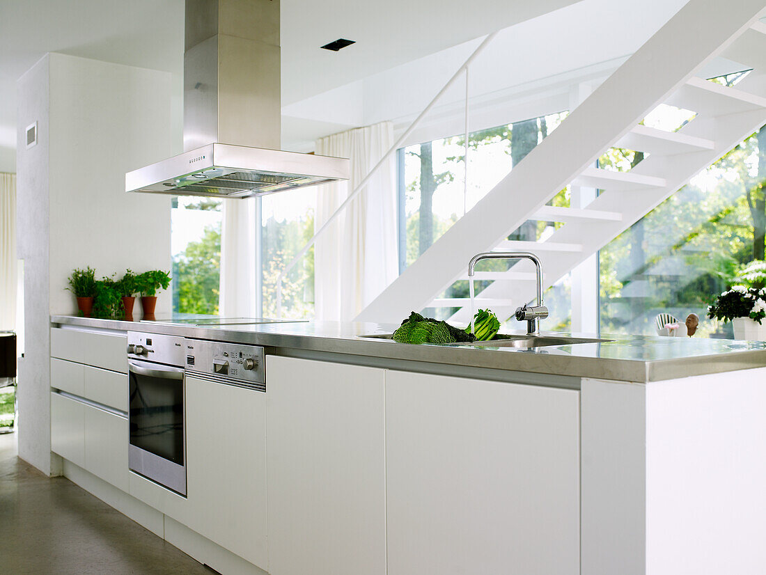 Moderne Küche in Weiß mit Edelstahlgeräten und Kräutertöpfen auf der Arbeitsplatte