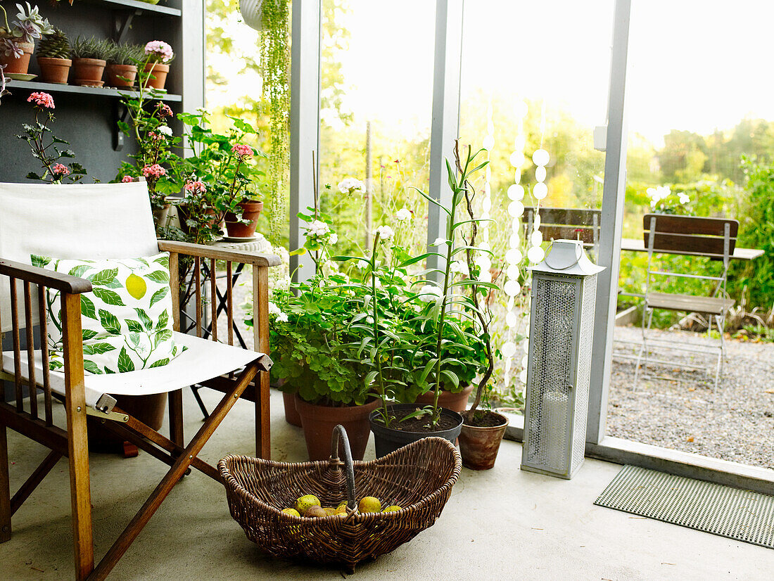 Conservatory with chair, plants and fruit basket