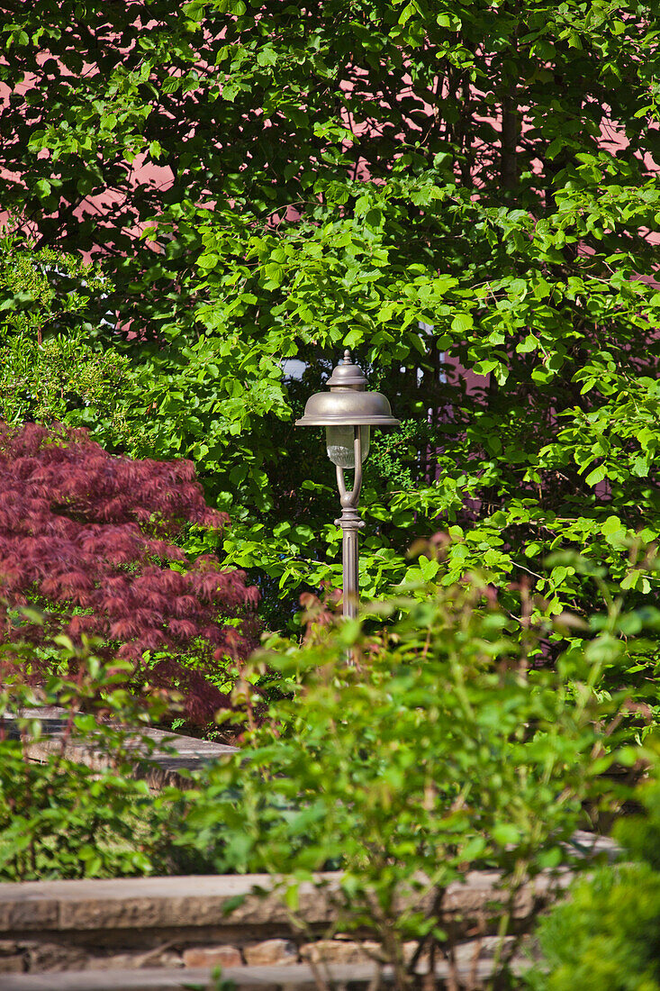 Gartenlampe zwischen blühenden Sträuchern im Frühlingssonnenschein