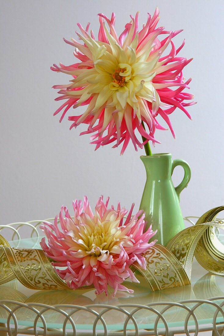 Dahlias with vase on tray