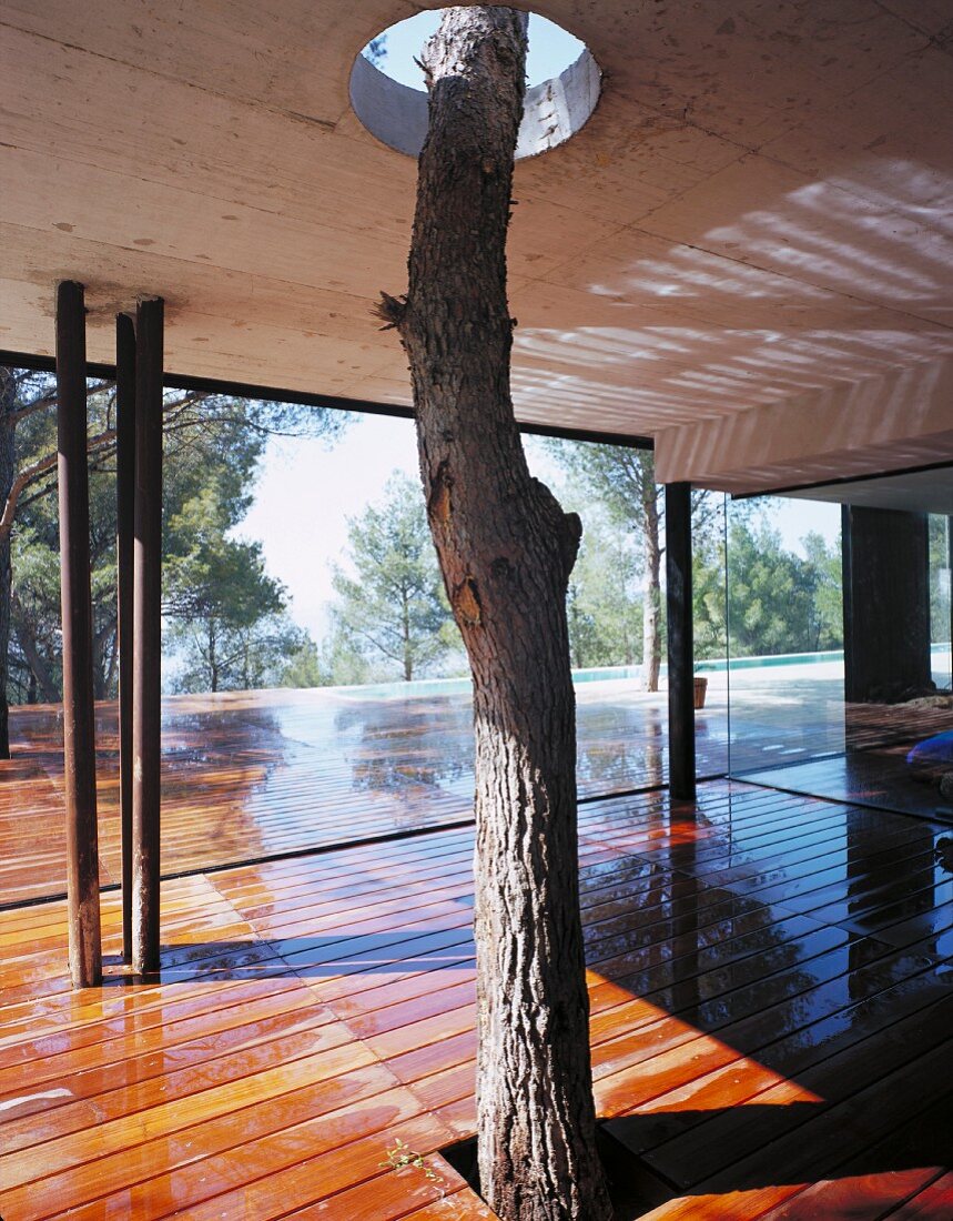 Contemporary, roofed veranda encompassing tree