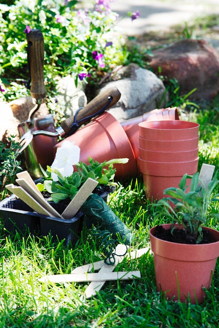 Empty and planted plant pots and other garden utensils on lawn