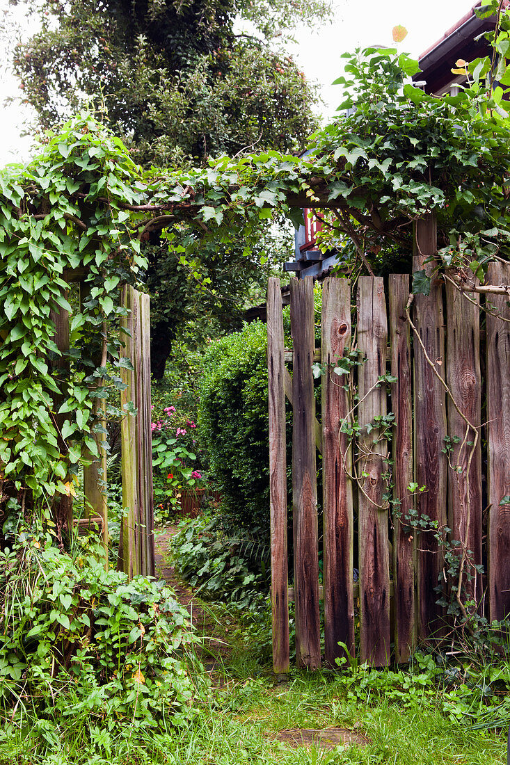 Berankter Gartenzaun aus Holz mit offener Tür und Blick in blühenden Garten