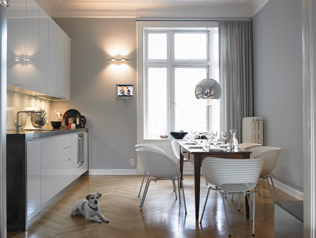 Set dining table and white cupboards in kitchen with dog