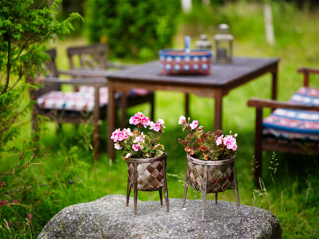 Pflanzen in Pflanzenhaltern auf Stein im Garten