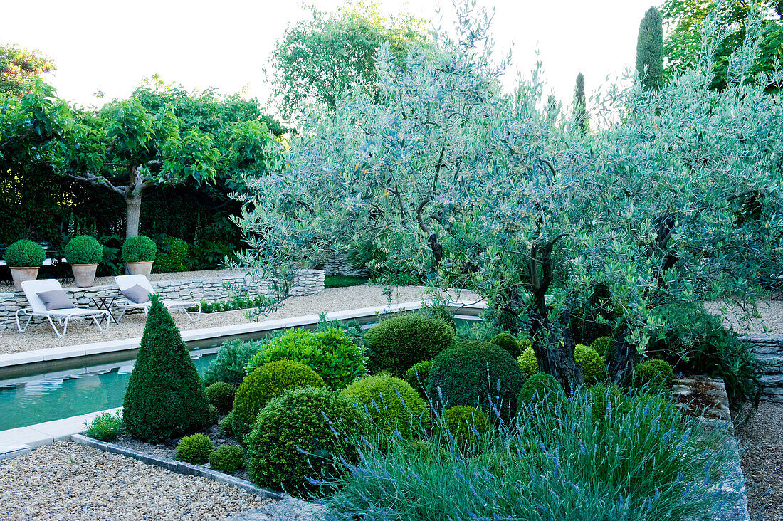 Gartenanlage mit Pool, Kiesweg und Pflanzen