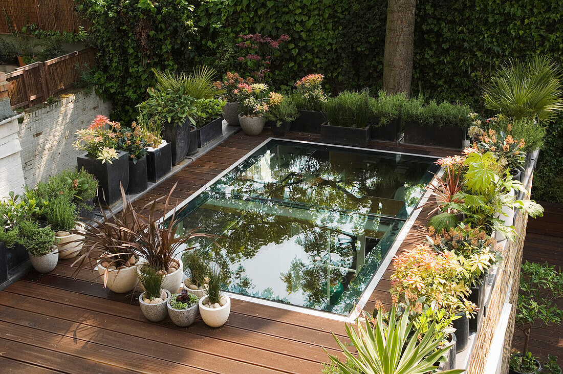 Terrassenbeet mit Wasserspiel und umgebender Bepflanzung in Töpfen