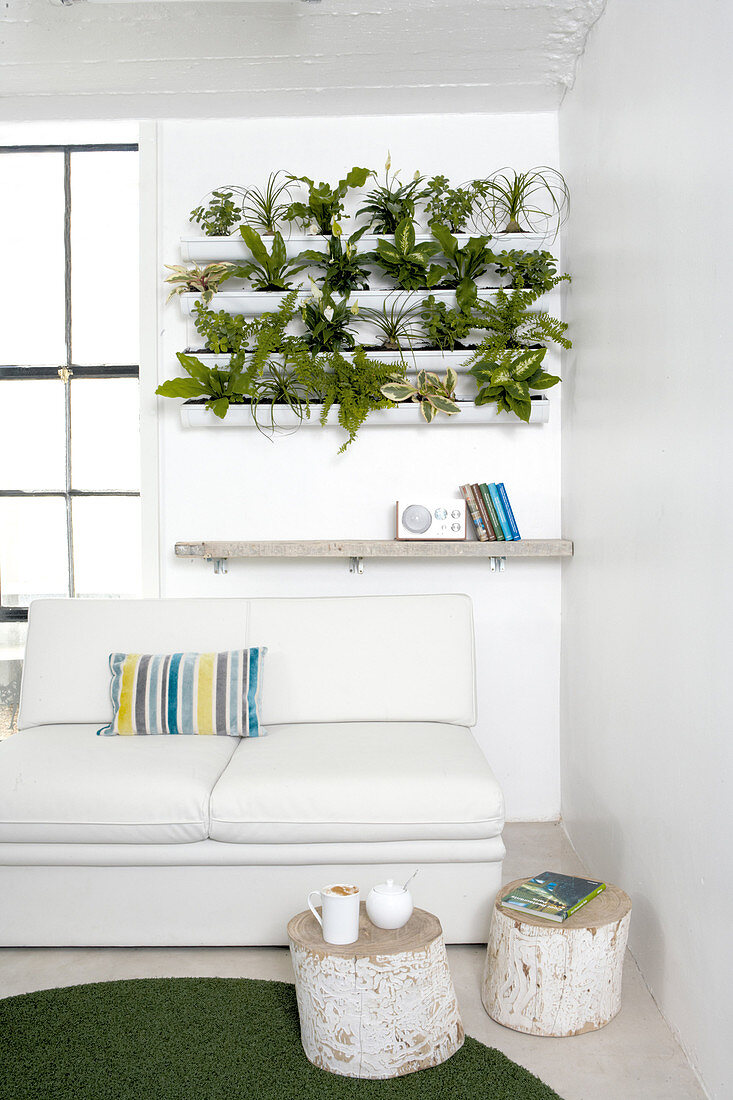 Pflanzen in weissen Kästen an Wand gefestigt und weisses Sofa in Wohnzimmerecke