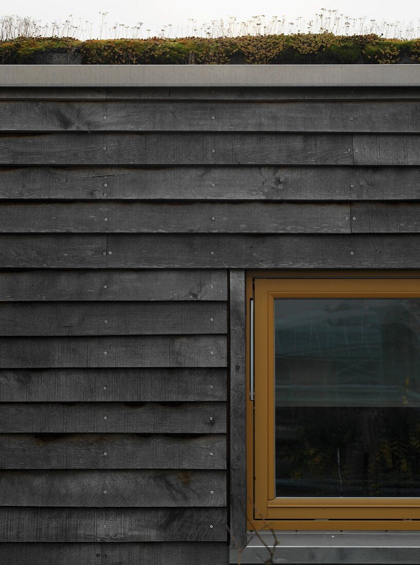 Weathered wooden cladding on ecological house with turf roof