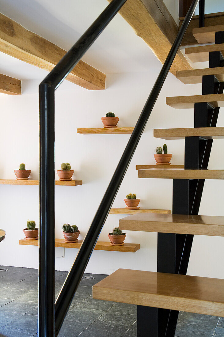 Modern wooden staircase with cactus decoration on floating shelves