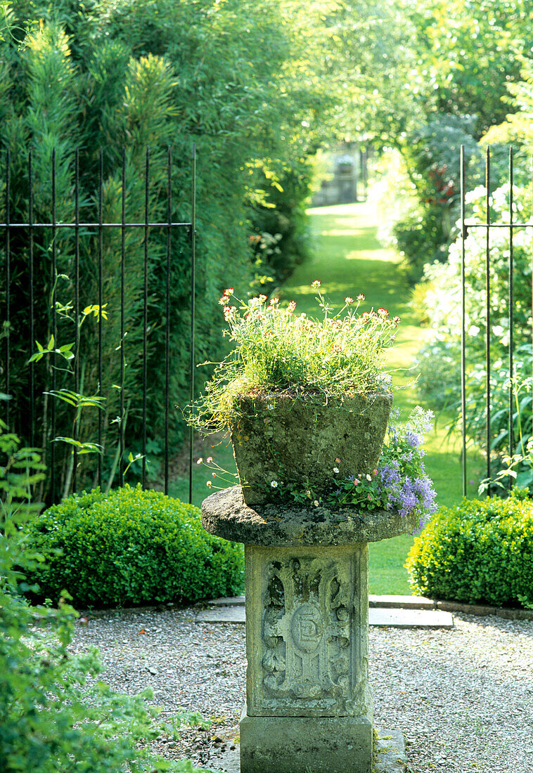 Bepflanzte Steinsäule im sommerlichen Garten