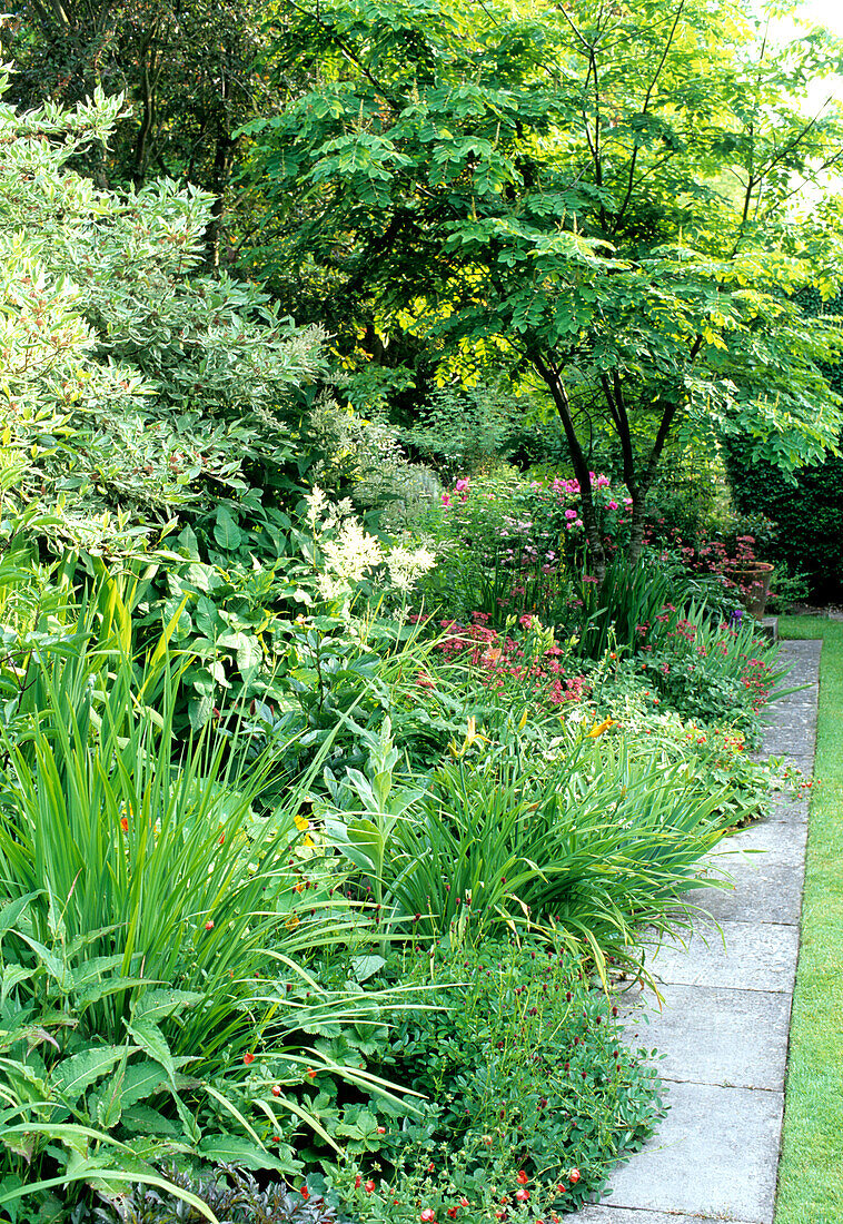 Gepflegter Gartenweg mit Staudenbeet und Laubbäumen