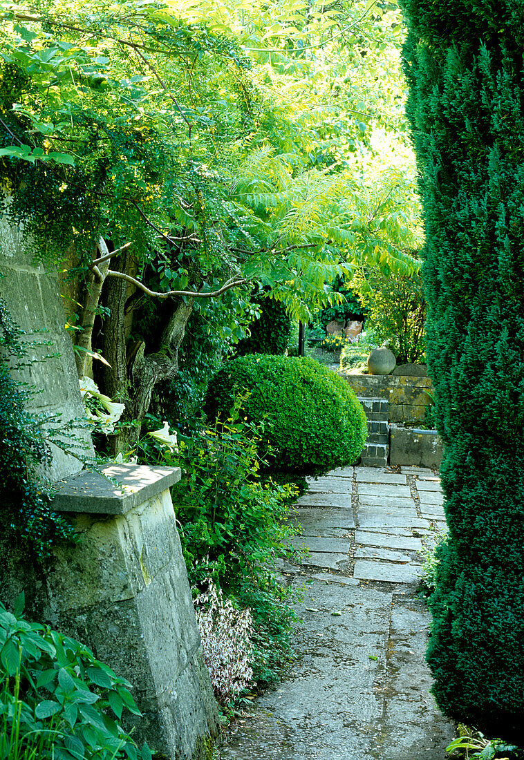 Well-kept garden path with stone slabs surrounded by greenery