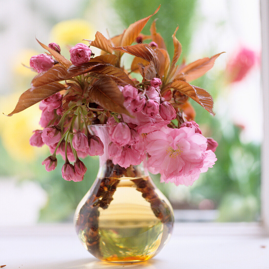 Vase mit rosa Kirschblüten