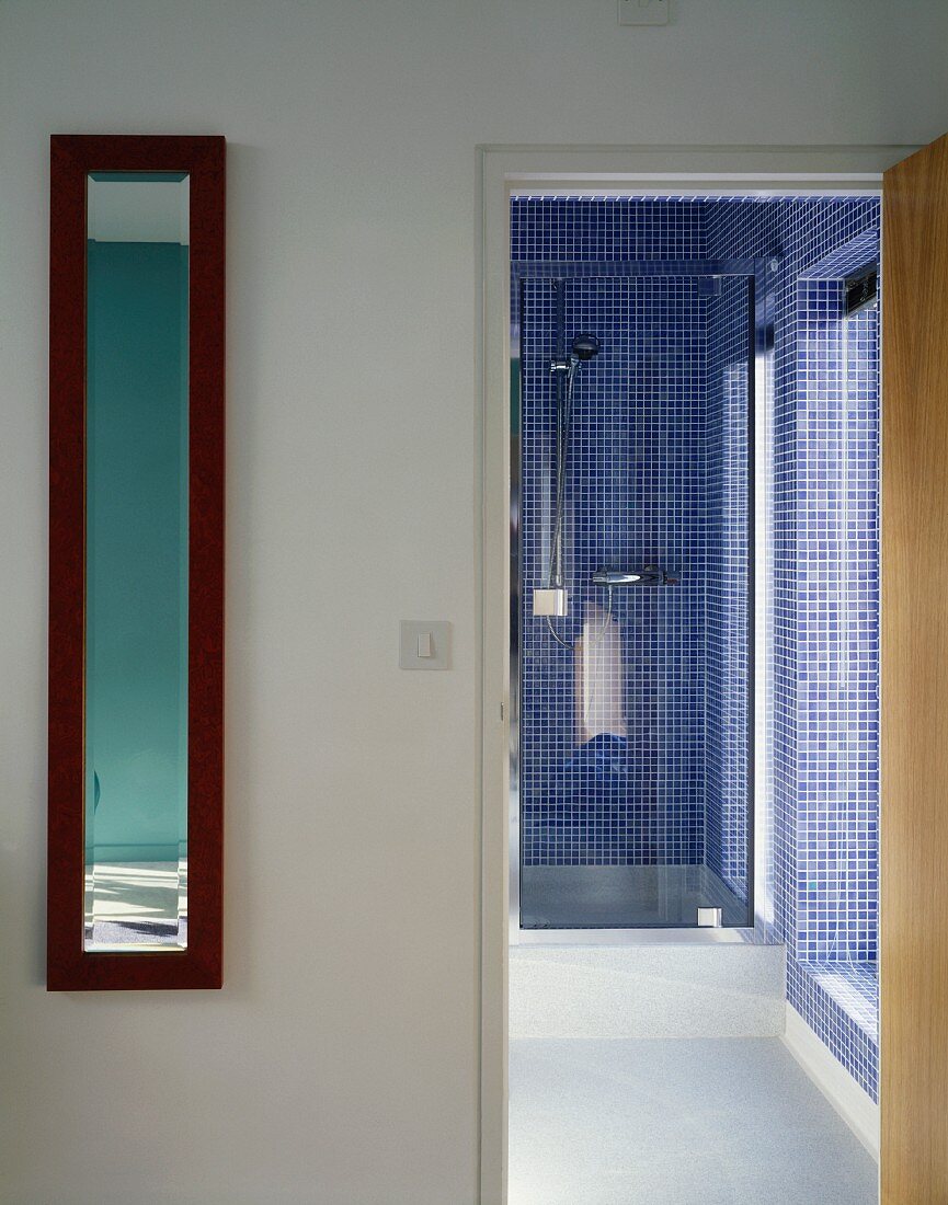Vorraum mit offener Tür und Blick ins Bad auf Duschkabine mit blauer Mosaikfliesenwand
