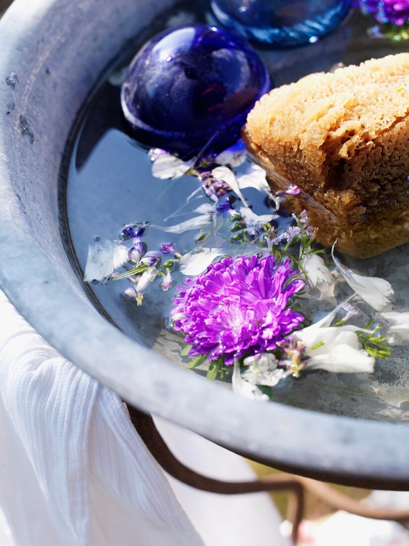 Waschschüssel mit Blüten und Schwamm im Garten