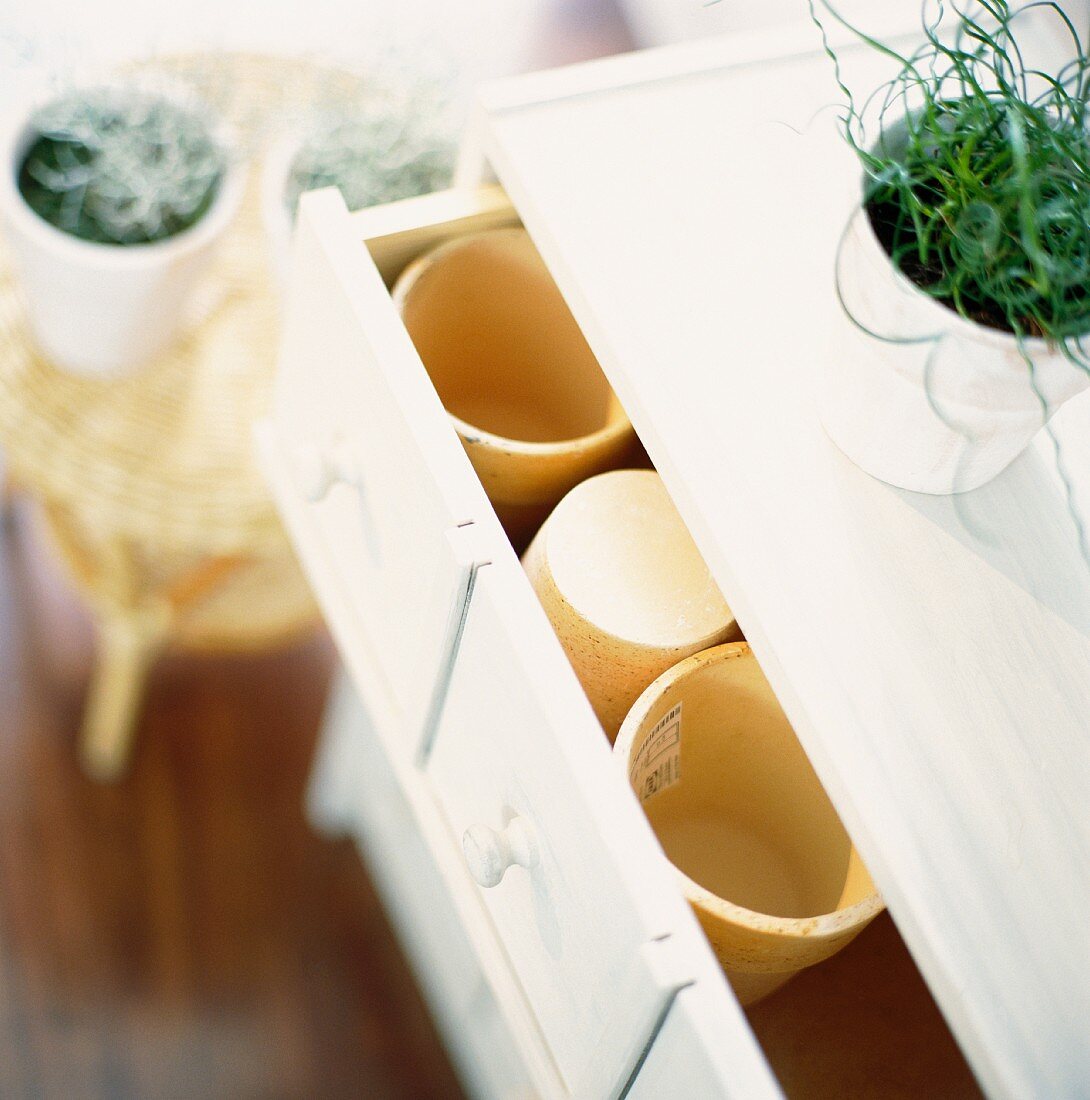 Chest of drawers with plant pots