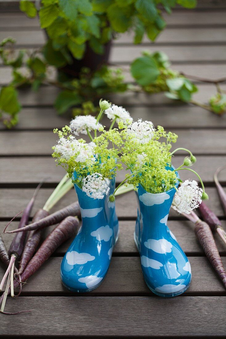 Wellies with scabious, ladies' mantle and carrots of the variety 'Anthonina'