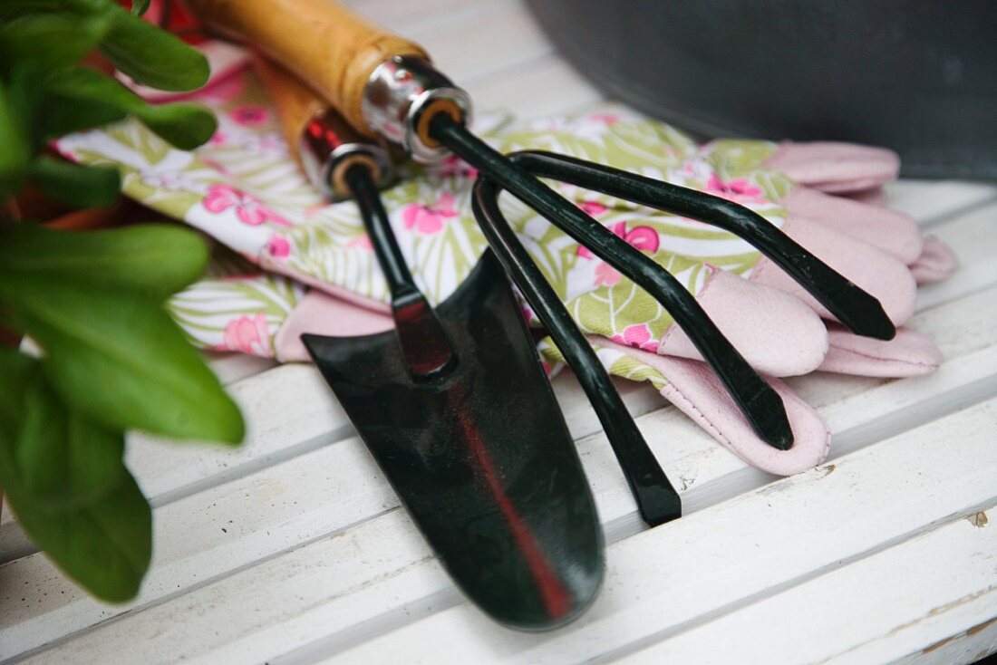 Gardening tools and gardening gloves on bench
