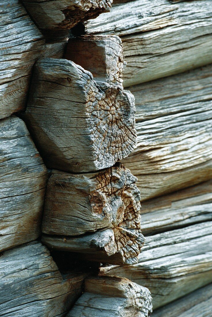 Detail of log cabin