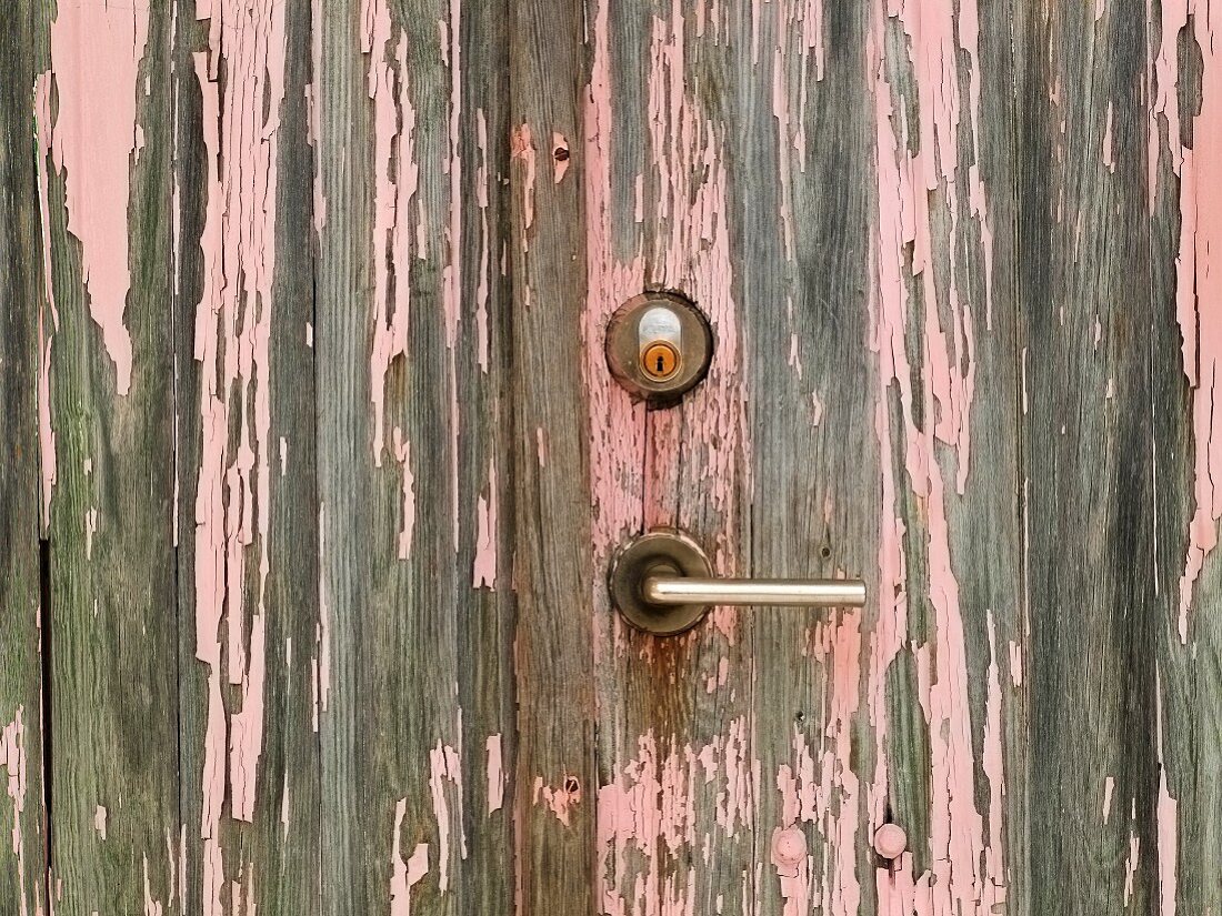 Weathered door (detail)