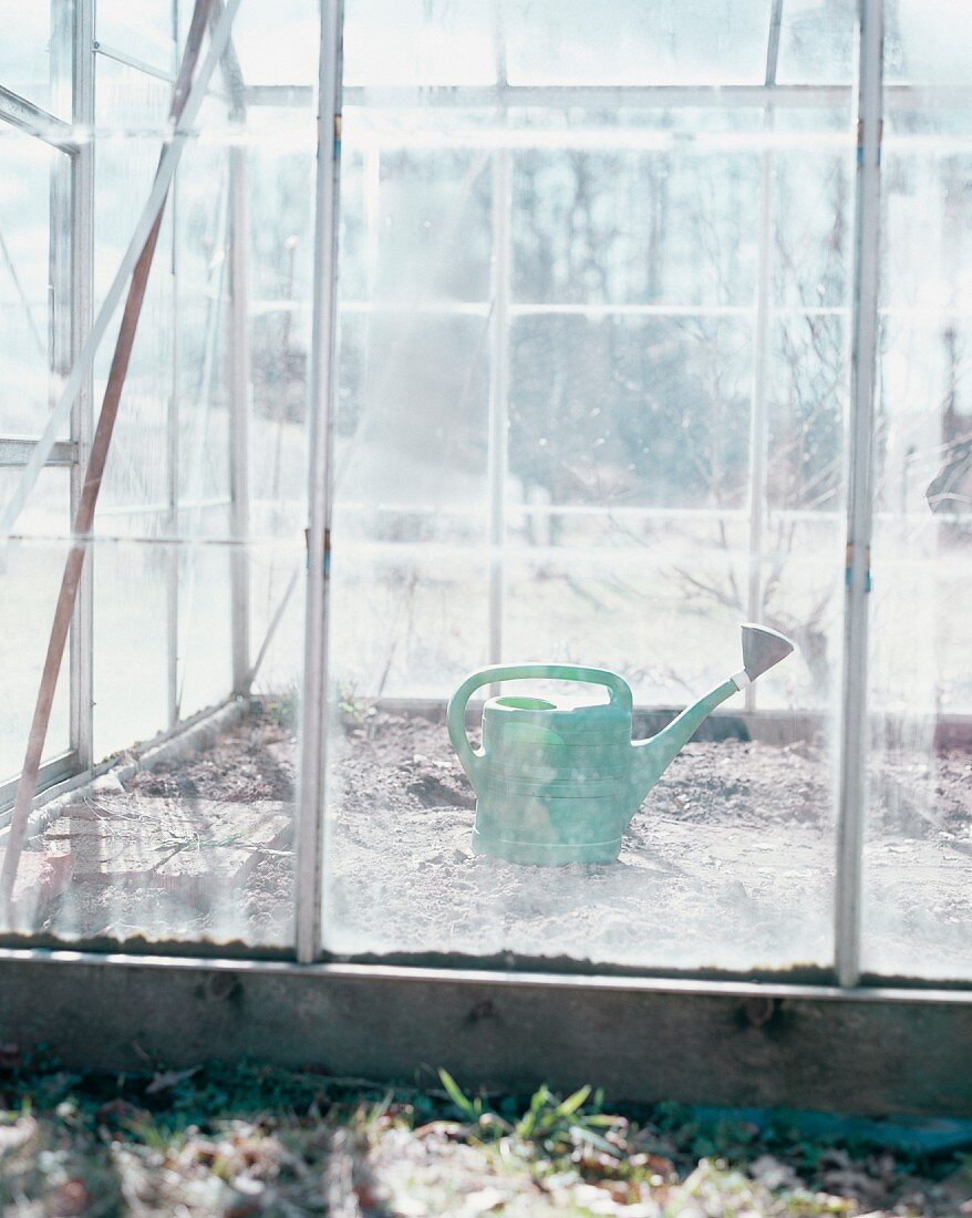 Watering can in greenhouse