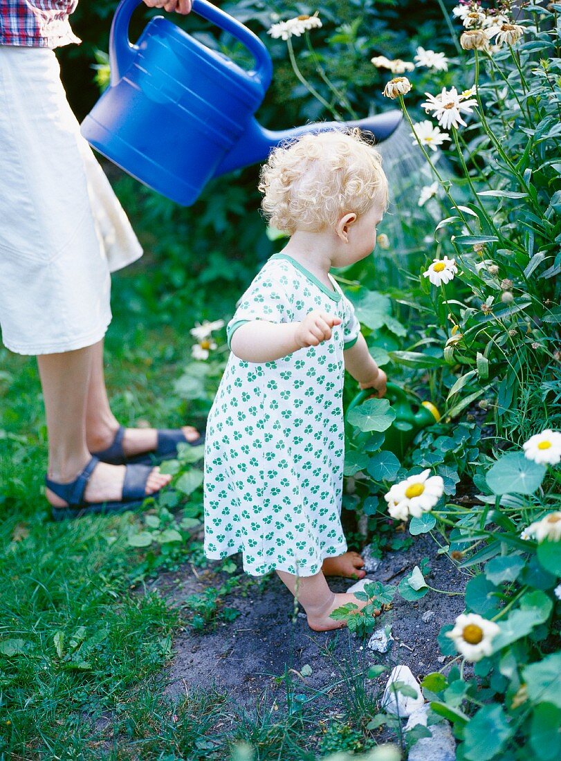 Toddler watering flowers