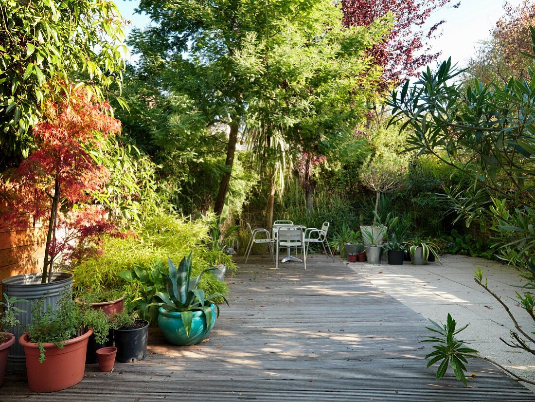 Wooden decking with plant pots and seating in established garden