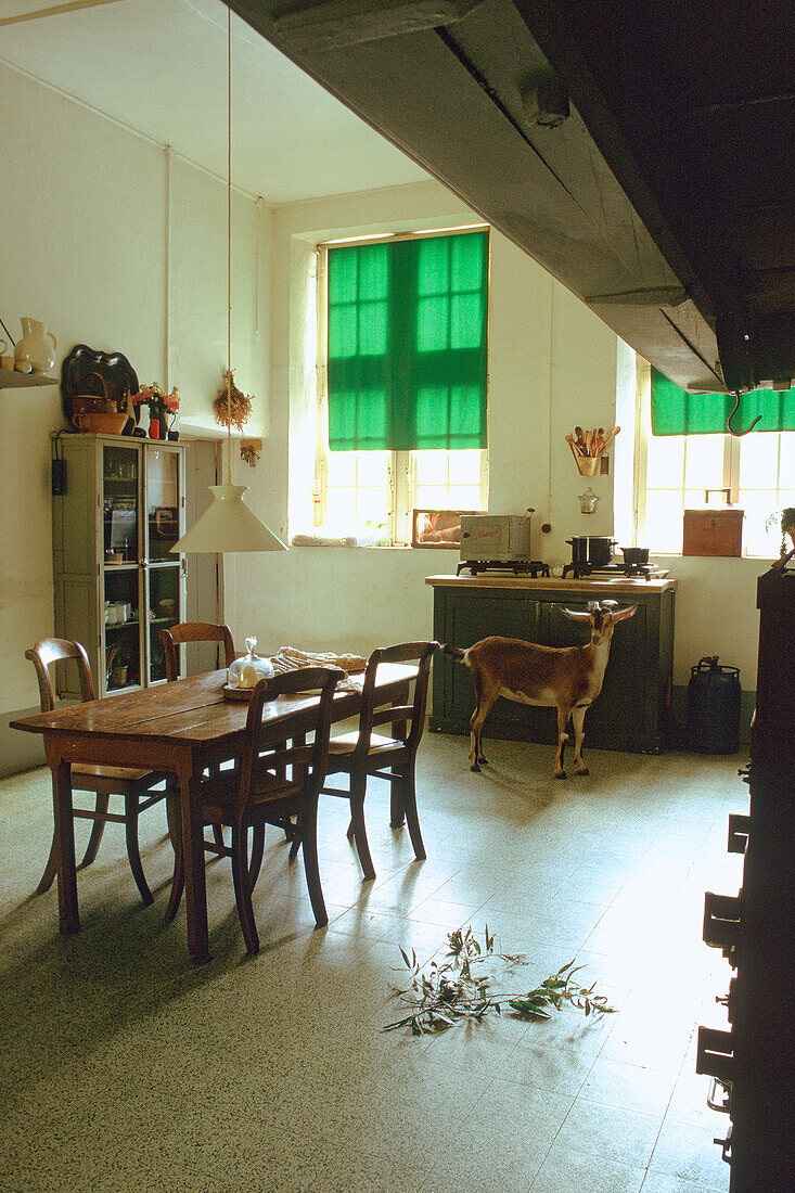 Rustic kitchen with wooden table and goat