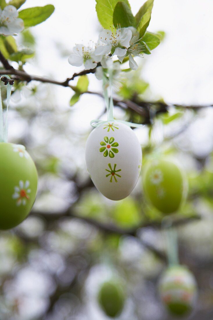 Decorative eggs hanging on flowering twigs in garden