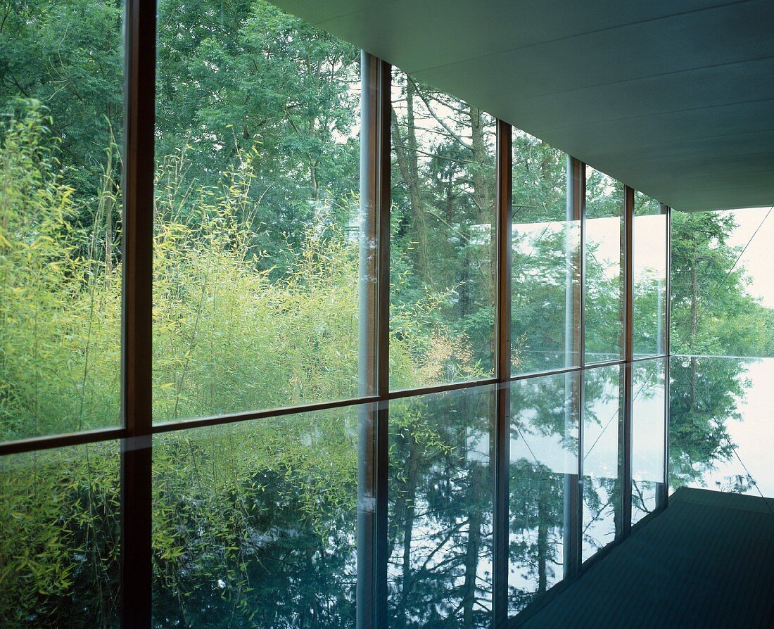 Reflections on surface of swimming pool in building with glass facade