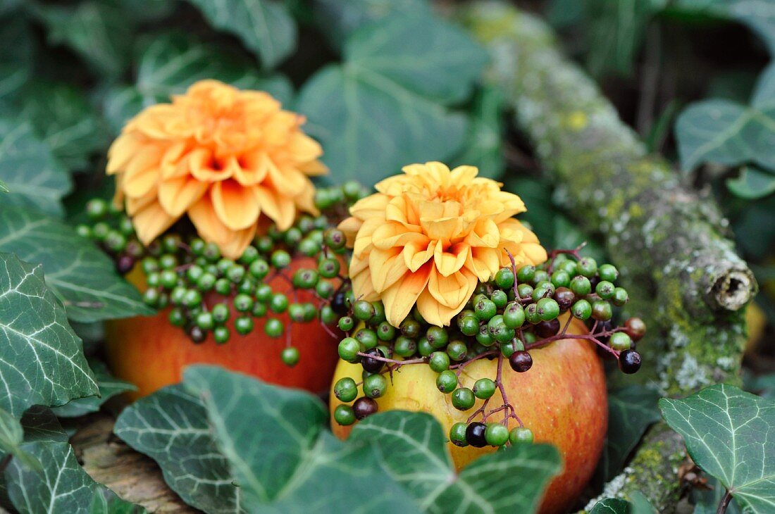 Herbstliche Deko mit Äpfeln als Vasen dekoriert mit Blüte & Beeren