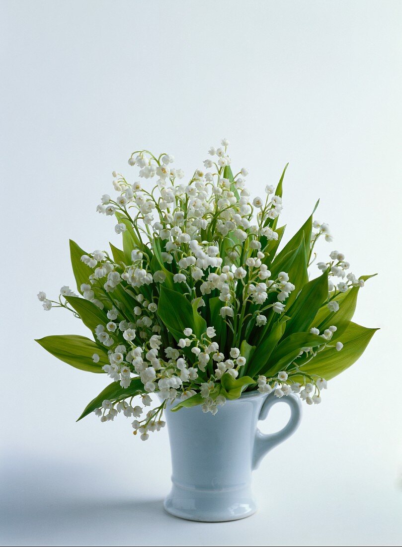 Posy of lily-of-the-valley in vase