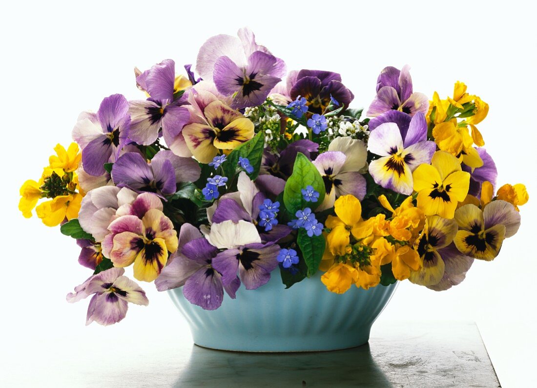 Spring posy of violas, buttercups & forget-me-nots