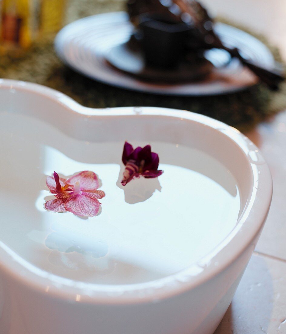 Violet flowers floating in bowl filled with water