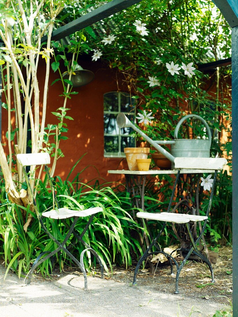 Table and chairs in front of garden shed covered in climbers