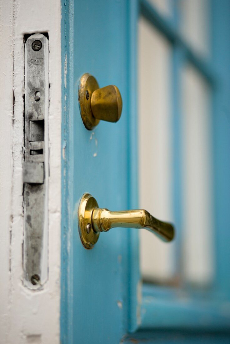 Door with brass handle and bolt in vintage style