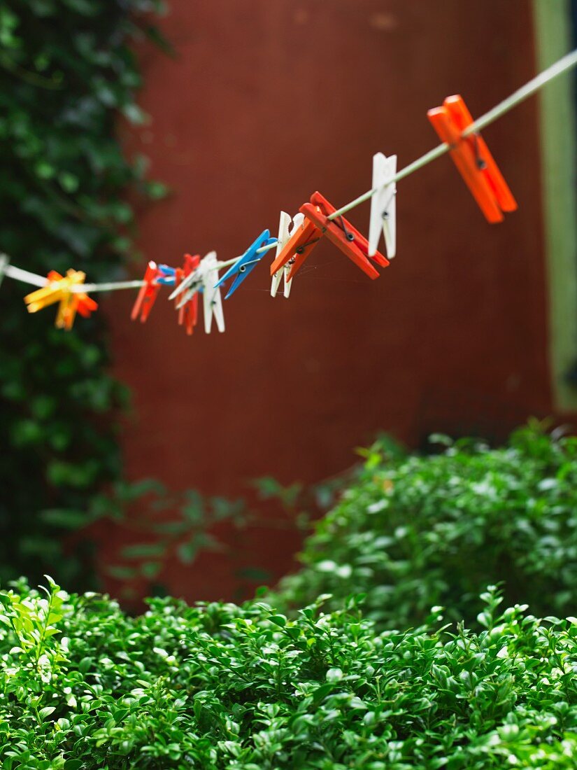 Clothes line with clothes pegs