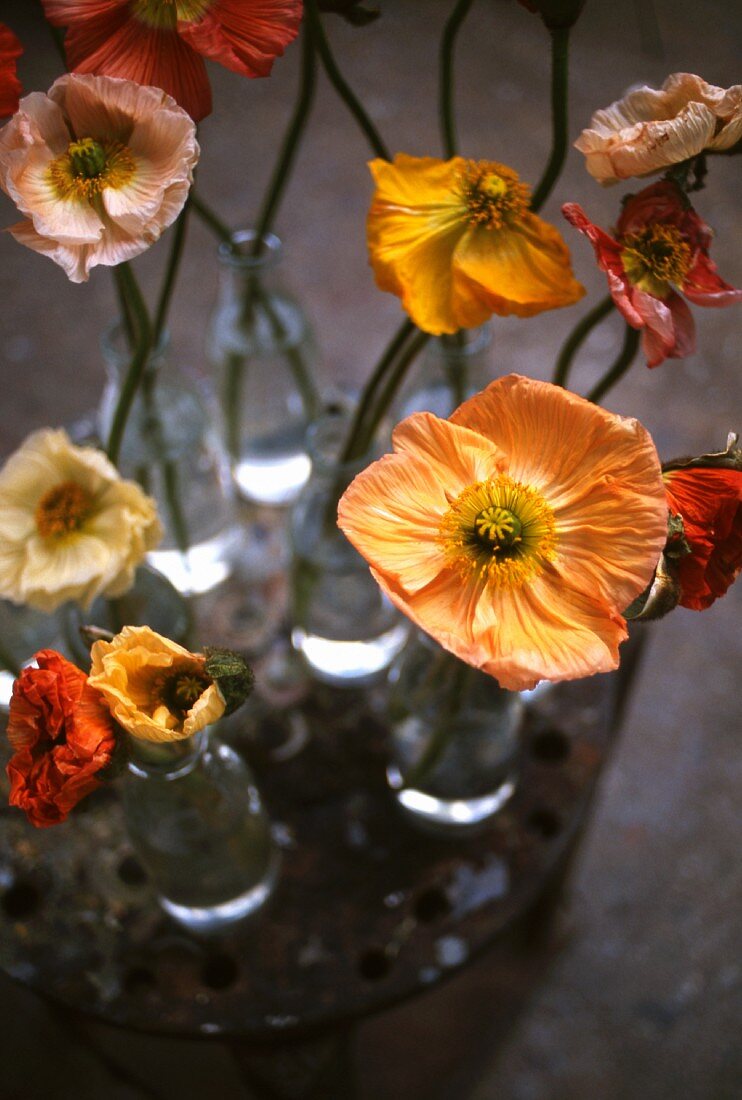 Flowers in small bottles