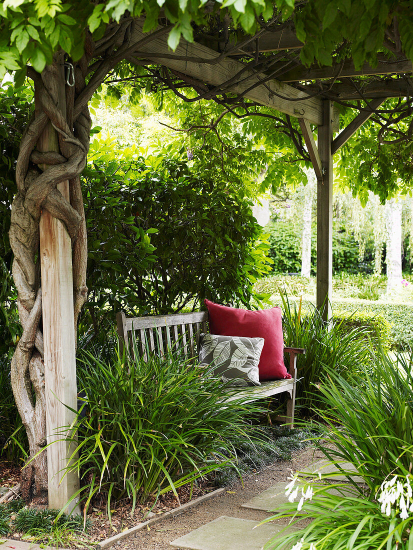 Wooden bench with cushions amongst ornamental grasses below creeper-covered pergola