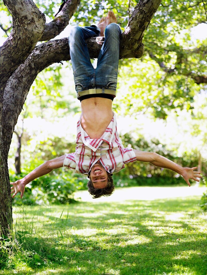 Young boy hanging from a tree