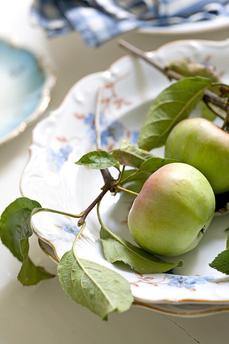 Frisch geerntete Äpfel mit Blättern und Astansatz auf Antiktellern