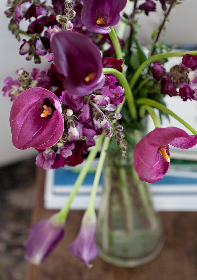 Violette Schnittblumen in transparenter Glasvase