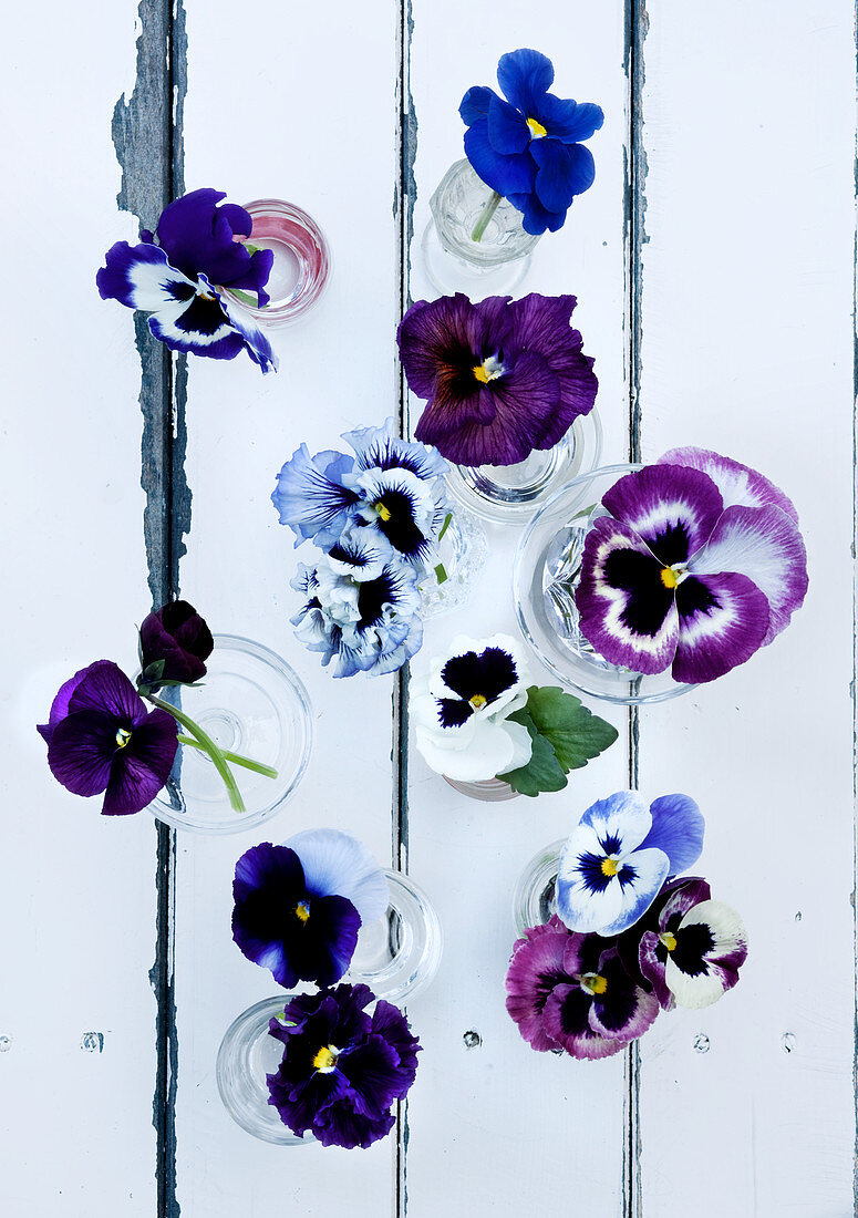 Violas in glasses on old garden table