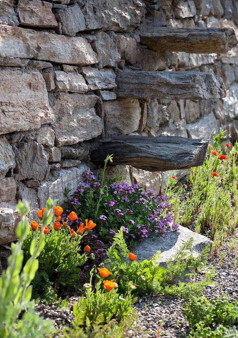 Summer flowers next to stone wall with wooden steps