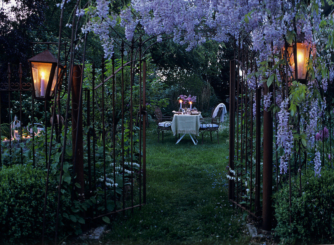 Garden gate below lavishly flowering, purple wisteria and garden table set for romantic evening in background