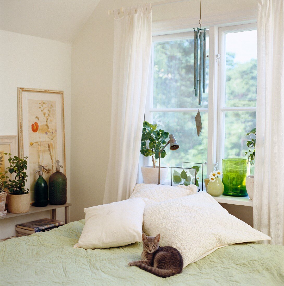 Gemütliches Plätzchen - Katze liegt auf Bett vor Fenster