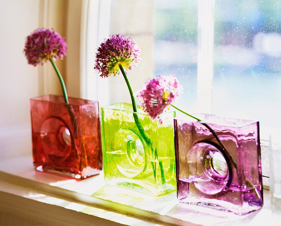 Violette Blume in Vasen aus farbigem Glas